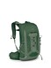 Osprey Talon 11L Mens Lightweight Hiking Backpack Small Daypack for Travel Camping Green Canopy