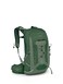 Osprey Talon 11L Mens Lightweight Hiking Backpack Small Daypack for Travel Camping Green Canopy