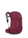 Osprey Hikelite 28L Lightweight Hiking Backpack Durable Travel Daypack with Rain Cover for Men and Women ChameleonBlack ML