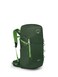 Osprey Jet 28L Kids Hiking Backpack Green Canopy