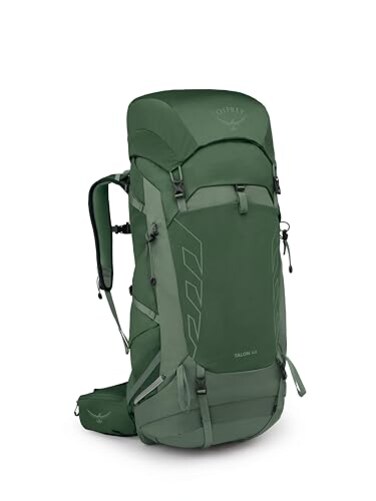Osprey Talon 44L Mens Lightweight Hiking Backpack Daypack for Travel Camping Green CanopyPine Leaf SM