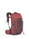 Osprey Tempest 11L Womens Lightweight Hiking Backpack Small Daypack for Travel Camping Red PampasCoal Grey
