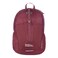 Eddie Bauer Stowaway Packable Backpack Travel Outdoor Lightweight Foldable Durable Ripstop Polyester 30L Black Cherry