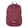 Eddie Bauer Stowaway Packable Backpack Travel Outdoor Lightweight Foldable Durable Ripstop Polyester 30L Black Cherry