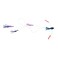 Geronimo Mahi Mania Lure Trolling Lure Teaser