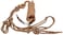 Weaver Leather Diamond Braid Reflective Rope Halter Lead Average Horse
