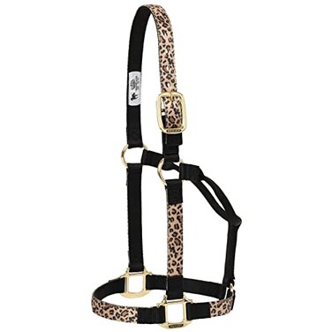 Weaver Leather Adjustable Patterned Nylon Horse Halter