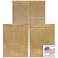 Young N Refined American Founding documents Laminated 3 pack US Constitution Declaration of Independence and Bill of Rights reproduction NOW with BIGGER clearer Letters