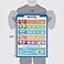 Palace Learning Palace Curriculum USA Money Poster Chart LAMINATED 18 x 24