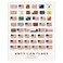 Pop Chart Lab Pop Chart History of American Flags 16 x 20 Art Poster Complete Timeline of Every American Flag Wall Decor for Home History or Social Studies Classroom 100 Made in the US