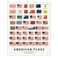 Pop Chart Lab Pop Chart History of American Flags 16 x 20 Art Poster Complete Timeline of Every American Flag Wall Decor for Home History or Social Studies Classroom 100 Made in the US
