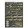 Pop Chart Lab Pop Chart Dinosauria Large 24 x 36 Dinosaur Poster Dinosaur Room Decor for Home or Classroom Educational Chart of Dino Evolution 100 Made in the USA