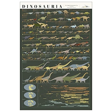 Pop Chart Lab Pop Chart Dinosauria Large 24 x 36 Dinosaur Poster Dinosaur Room Decor for Home or Classroom Educational Chart of Dino Evolution 100 Made in the USA