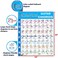QMG Guitar Chord Poster 24x30 Educational Reference Guide for Beginners 56 Color Coded Chords printed on nontearing vinyl paper Made in USA Tube shipping