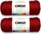 Caron Bulk Buy Simply Soft Yarn Solids 2pack Autumn Red