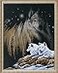 Janlynn Counted Cross Stitch Kit Northern Lights