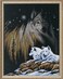 Janlynn Counted Cross Stitch Kit Northern Lights
