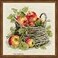 RIOLIS Ripe Apples 1450 Cross Stitch Kits 1181 x 1181 Cross Stitch Kits for Beginners Advanced Crossstitching Kit Adult Embroidery Counted Stitching Kit