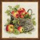 RIOLIS Ripe Apples 1450 Cross Stitch Kits 1181 x 1181 Cross Stitch Kits for Beginners Advanced Crossstitching Kit Adult Embroidery Counted Stitching Kit