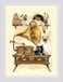 RIOLIS Cat with Gramaphone 859 Cat Lovers Cross Stitch Kits 7 x 9 Cross Stitch Kits for Beginners Advanced Crossstitching Kit Adult Animals Embroidery Kit