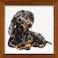 RIOLIS Dachshund 906 Dogs Cross Stitch Kits 984 x 984 Counted Cross Stitch Kits Counted Cross Stitch Kits for Beginners Advanced Cross Stitching Kits for Adults Dog Embroidery Kit