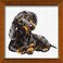 RIOLIS Dachshund 906 Dogs Cross Stitch Kits 984 x 984 Counted Cross Stitch Kits Counted Cross Stitch Kits for Beginners Advanced Cross Stitching Kits for Adults Dog Embroidery Kit