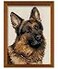 RIOLIS German Shepherd 1068 Dogs Cross Stitch Kits 945 x1181 Counted Cross Stitch Kits Counted Cross Stitch Kits for Beginners Advanced Cross Stitching Kits for Adults Dog Embroidery Kit