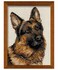 RIOLIS German Shepherd 1068 Dogs Cross Stitch Kits 945 x1181 Counted Cross Stitch Kits Counted Cross Stitch Kits for Beginners Advanced Cross Stitching Kits for Adults Dog Embroidery Kit