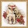RIOLIS Sweet Tooth 1333 Animals Cross Stitch Kits 1181 x1181 Cross Stitch Kit for Beginners Advanced Crossstitching Kits Adult Counted Stitching Kits Embroidery Kit