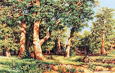 Luca-S Cross Stitch Kit LucaS The forest reproduction of II Shishkin B476