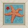 Mill Hill Starfish Beaded Counted Cross Stitch Kit 2016 Buttons Beads Spring MH141615