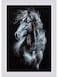 RIOLIS Breeze Through Mane 1494 Counted Cross Stitch Kit 1181 x1772 Black Horse Embroidery Kit Cross Stitch Patterns for Adults with Horse Cross Stitch Kits for Adults Advanced Beginners