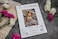 Luca-S LucaS Cross Stitch Kit Gold Counted Cross Stitch for Adults Embroidery Kit The Mexican Fest B706