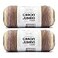 Caron Jumbo Ombre Seashell Yarn 2 Pack of 12oz340g Acrylic 4 Worsted Medium 595 Yards Knitting Crochet