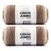 Caron Jumbo Ombre Seashell Yarn 2 Pack of 12oz340g Acrylic 4 Worsted Medium 595 Yards Knitting Crochet