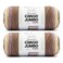 Caron Jumbo Ombre Seashell Yarn 2 Pack of 12oz340g Acrylic 4 Worsted Medium 595 Yards Knitting Crochet