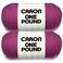 Caron One Pound Purple Yarn 2 Pack of 454g16oz Acrylic 4 Medium Worsted 812 Yards KnittingCrochet
