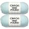 Caron One Pound Pale Green Yarn 2 Pack of 454g16oz Acrylic 4 Medium Worsted 812 Yards KnittingCrochet