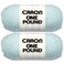 Caron One Pound Pale Green Yarn 2 Pack of 454g16oz Acrylic 4 Medium Worsted 812 Yards KnittingCrochet