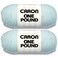 Caron One Pound Pale Green Yarn 2 Pack of 454g16oz Acrylic 4 Medium Worsted 812 Yards KnittingCrochet