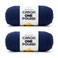Caron One Pound Midnight Blue Yarn 2 Pack of 454g16oz Acrylic 4 Medium Worsted 812 Yards KnittingCrochet