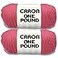 Caron One Pound Rose Yarn 2 Pack of 454g16oz Acrylic 4 Medium Worsted 812 Yards KnittingCrochet