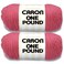 Caron One Pound Rose Yarn 2 Pack of 454g16oz Acrylic 4 Medium Worsted 812 Yards KnittingCrochet