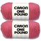 Caron One Pound Rose Yarn 2 Pack of 454g16oz Acrylic 4 Medium Worsted 812 Yards KnittingCrochet
