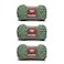 Red Heart Scrubby Green Tea Yarn 3 Pack of 100g35oz Polyester 4 Medium Worsted 92 Yards KnittingCrochet