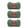 Red Heart Scrubby Green Tea Yarn 3 Pack of 100g35oz Polyester 4 Medium Worsted 92 Yards KnittingCrochet