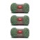 Red Heart Scrubby Green Tea Yarn 3 Pack of 100g35oz Polyester 4 Medium Worsted 92 Yards KnittingCrochet