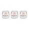 Aunt Lydia's Aunt Lydia Metallic WhiteSilver Yarn 3 Pack of 100y91m Mixed Materials 10100 Yards KnittingCrochet