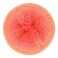 Scheepjes Whirl 1 Cake 1000 m 1094 yd Yarn 557 Coral Catastrophe CottonAcrylic Gradient