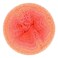 Scheepjes Whirl 1 Cake 1000 m 1094 yd Yarn 557 Coral Catastrophe CottonAcrylic Gradient